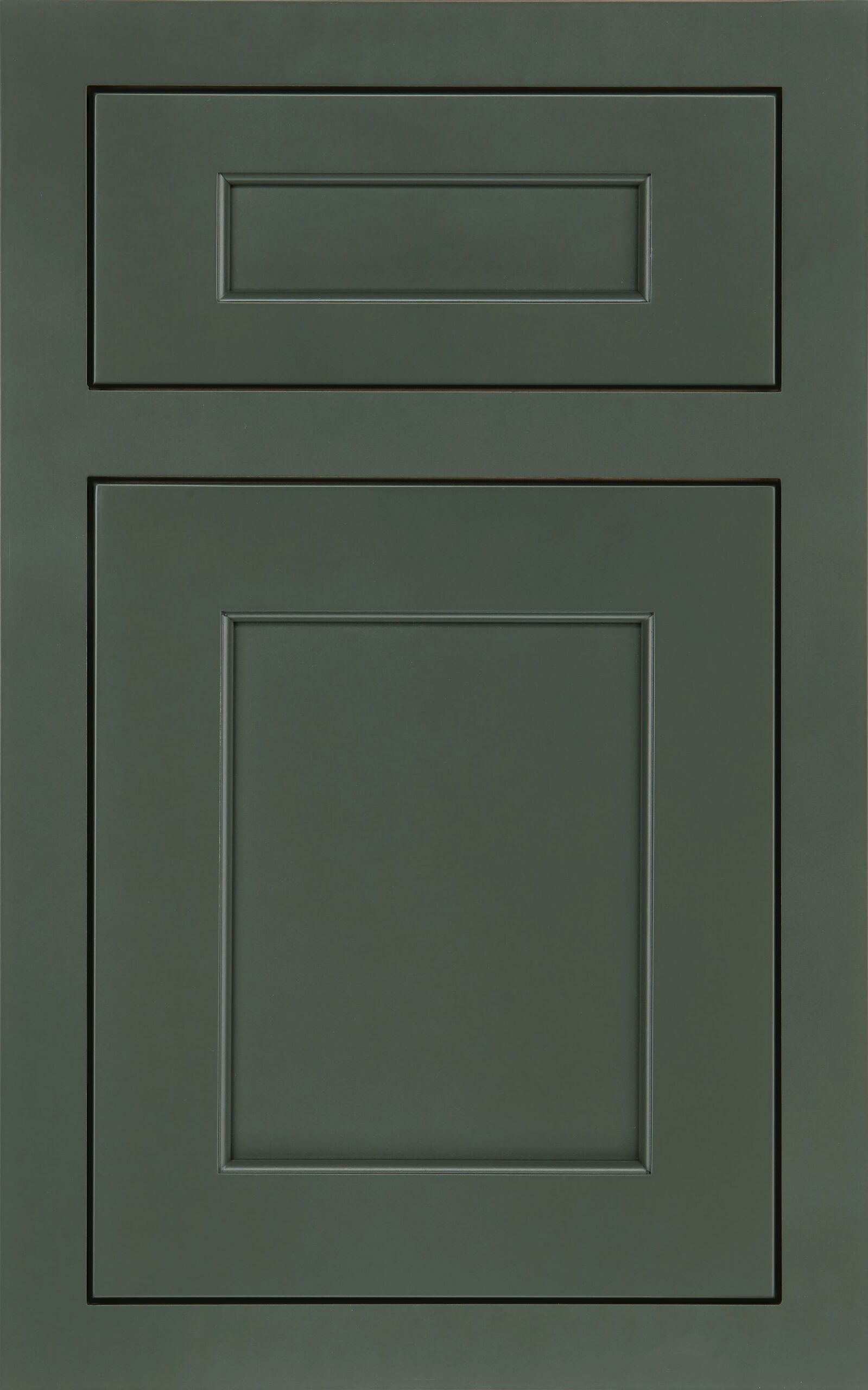 Eucalyptus in paint grade