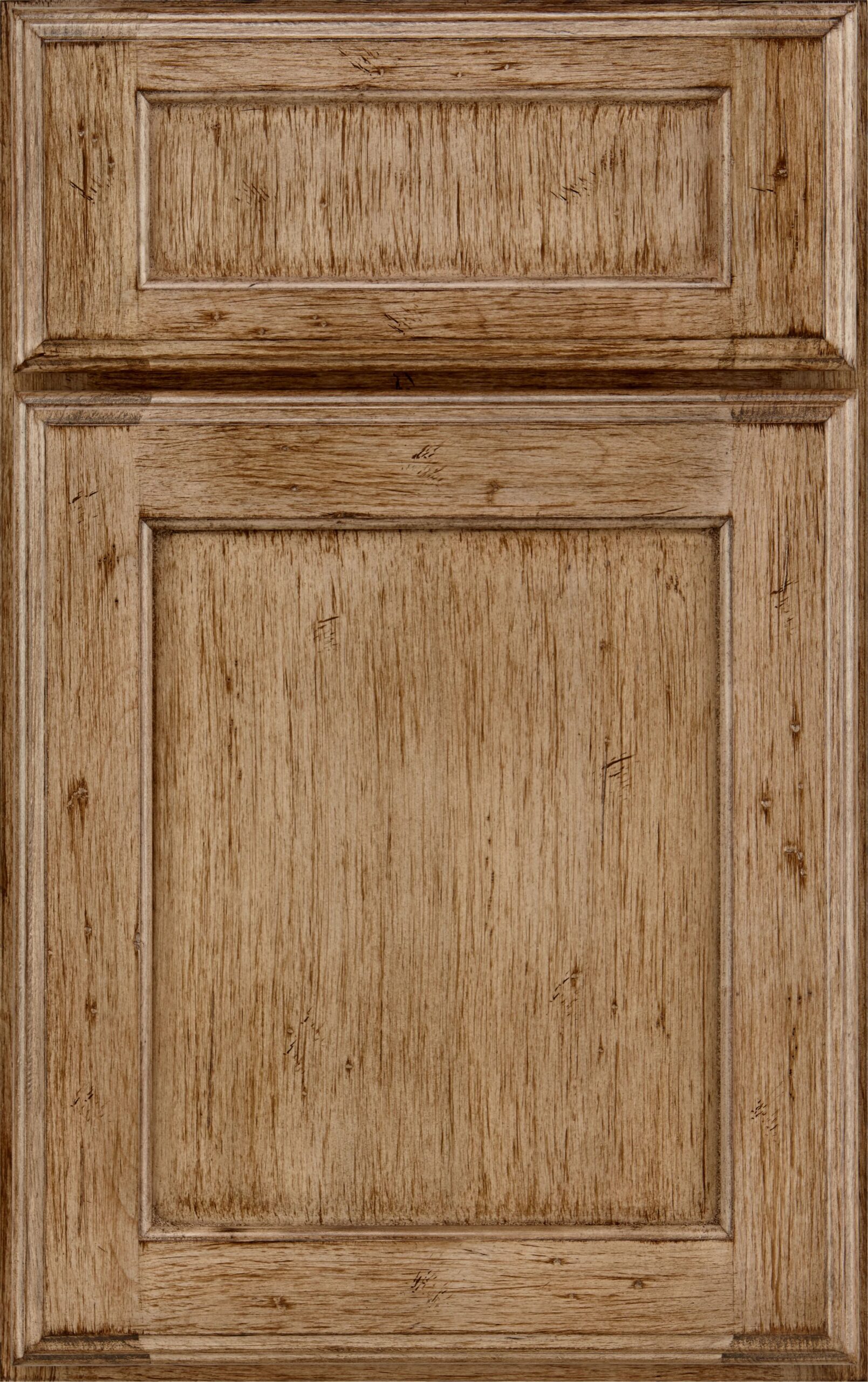 Buckskin Appaloosa on cherry